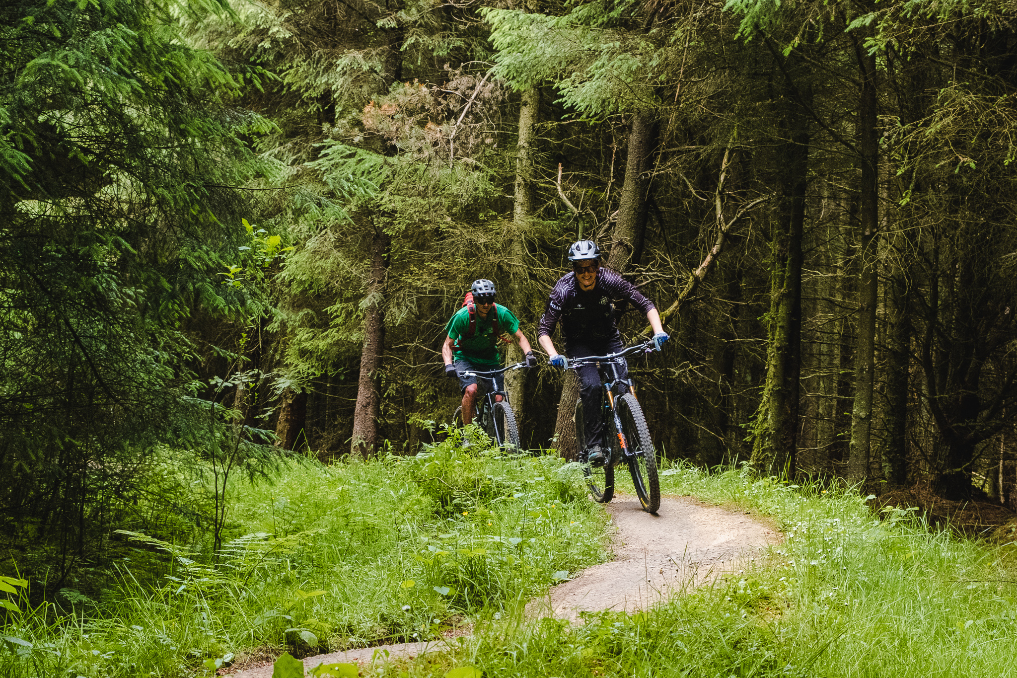 helling Negende schreeuw Cycling & mountain biking | Forestry England