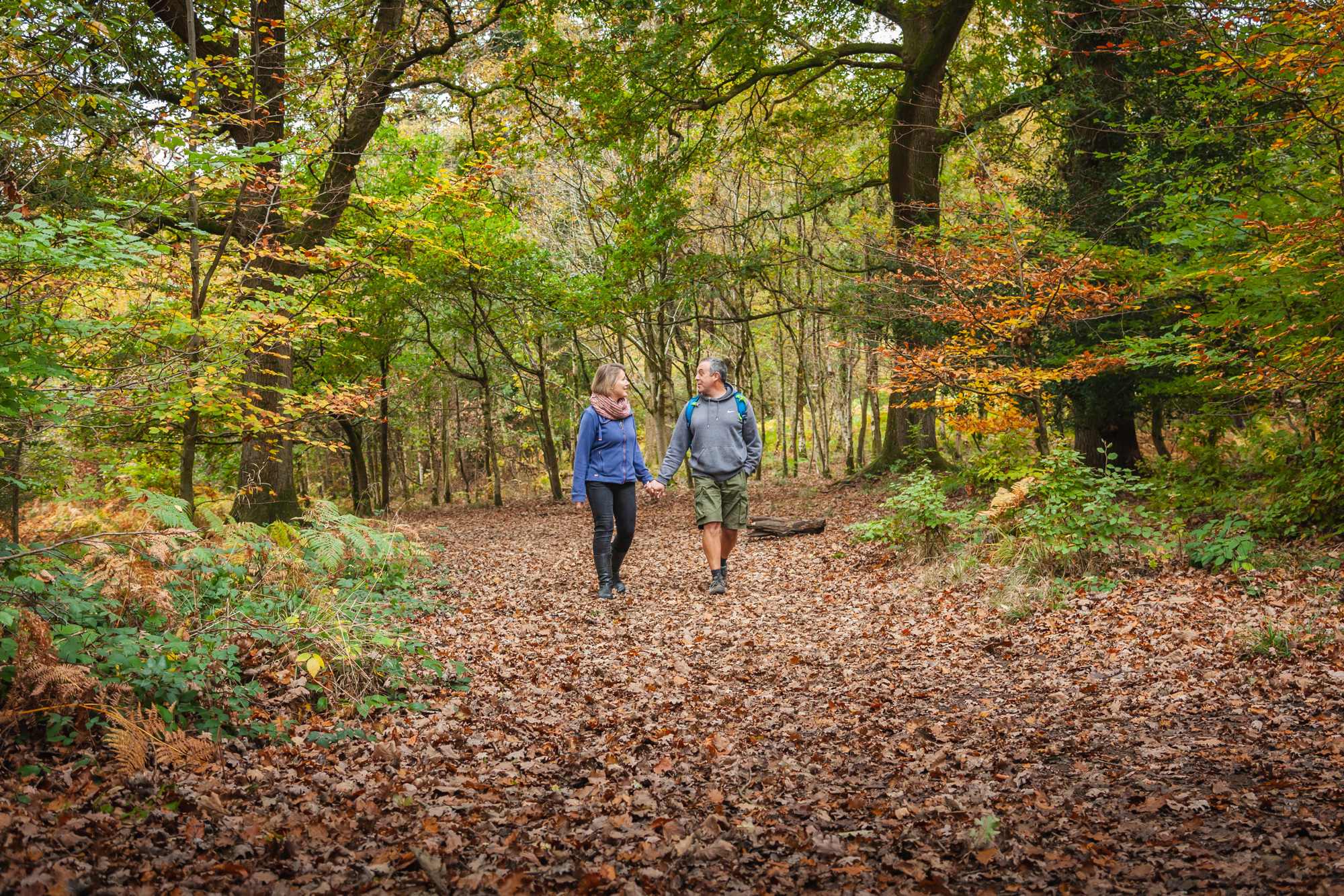Walking | Forestry England