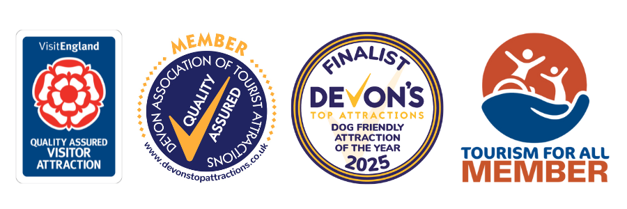 Haldon Forest Park accreditation logos for Visit England, Devon's Top Attractions, and Tourism for All