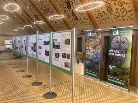 Hamsterley Proposal Exhibition