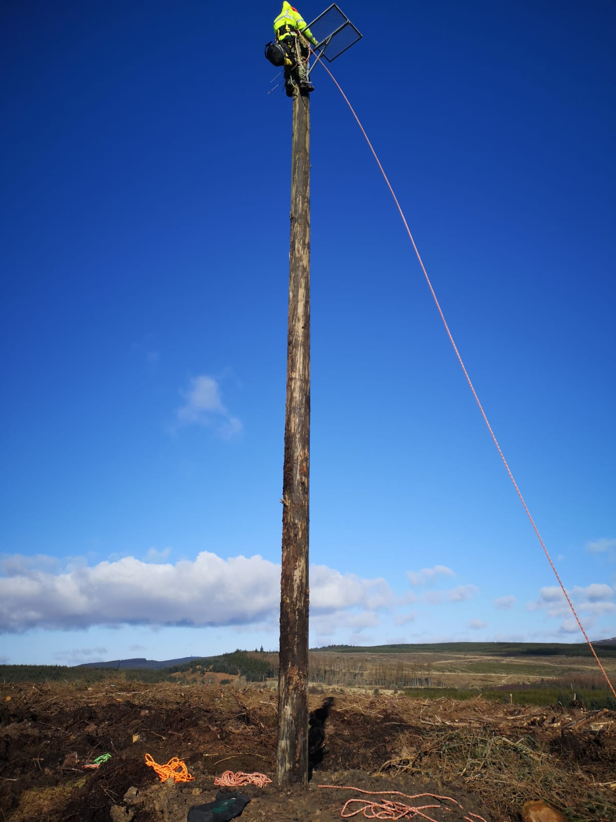 Nest Pole