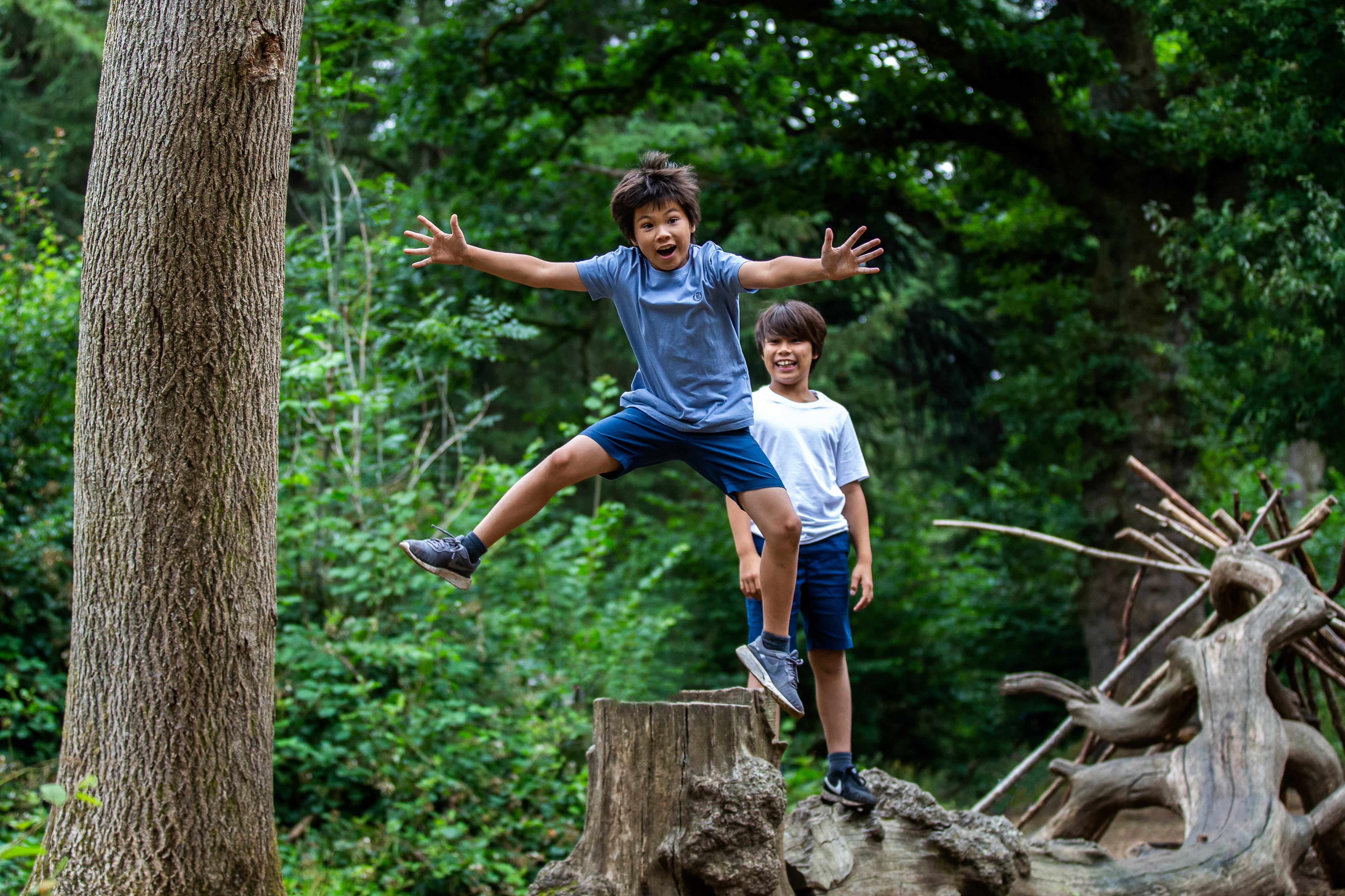 How to Build a Den - Kids' Outdoor Activity - Woodland Trust