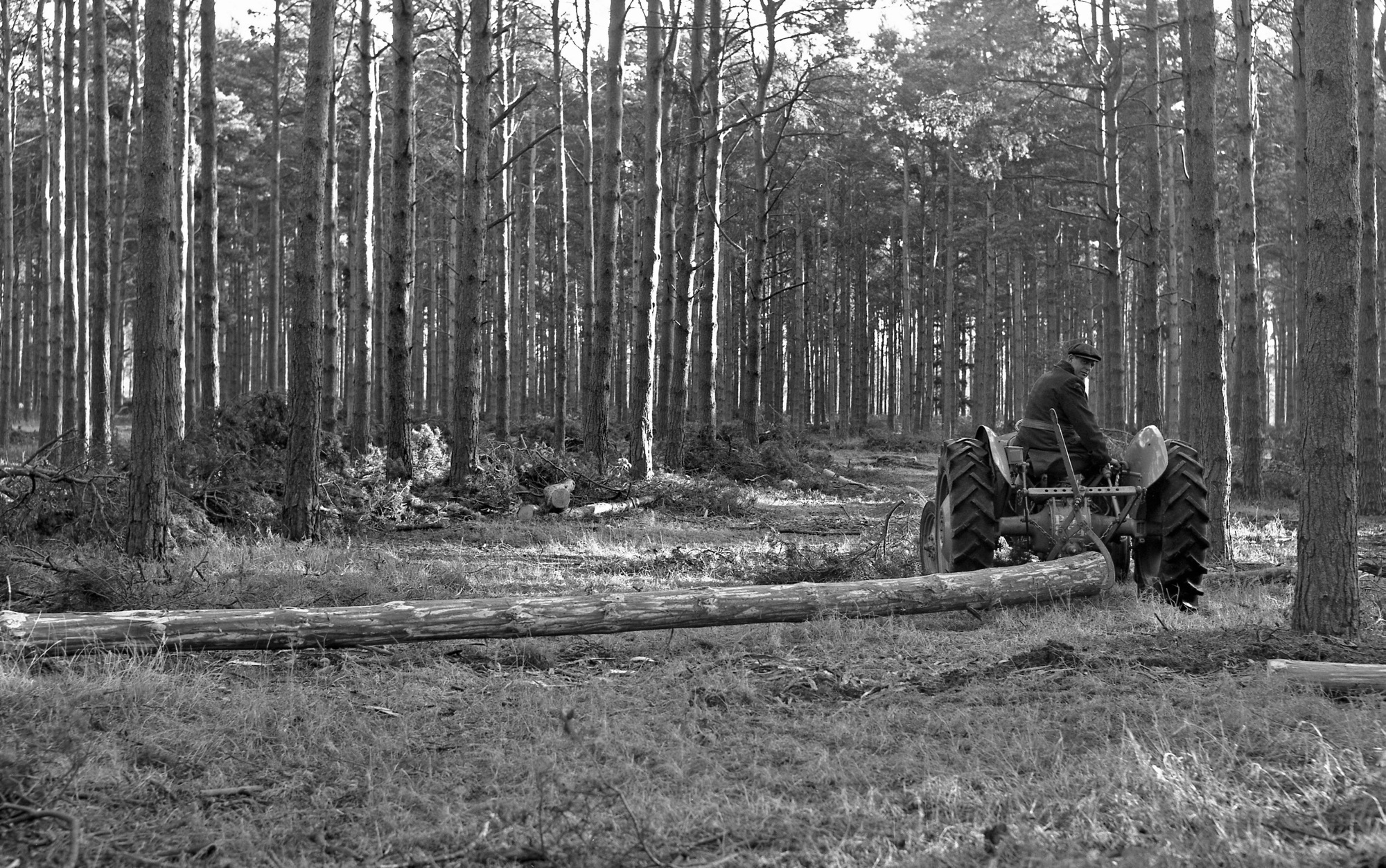 Thetford history, tractor pulling log 