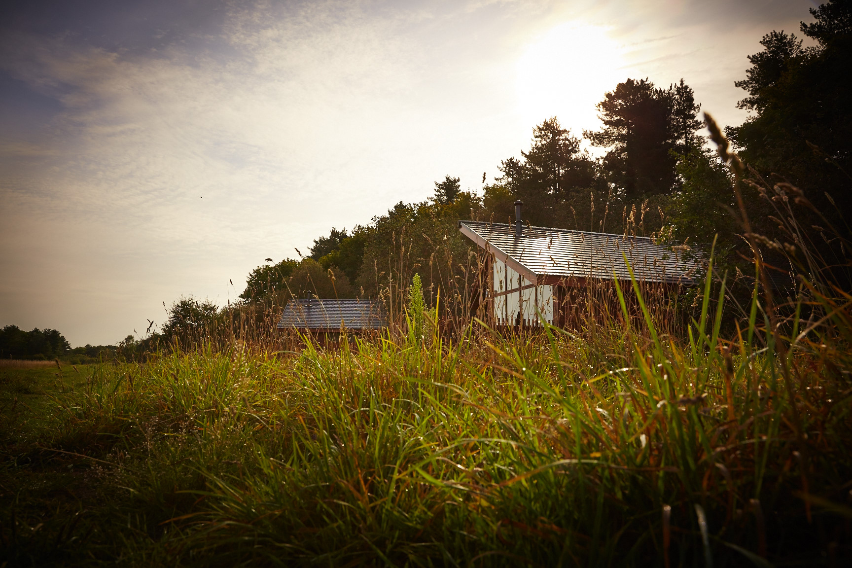 Forest Holidays at Thorpe Forest, Harling Woods | Forestry England