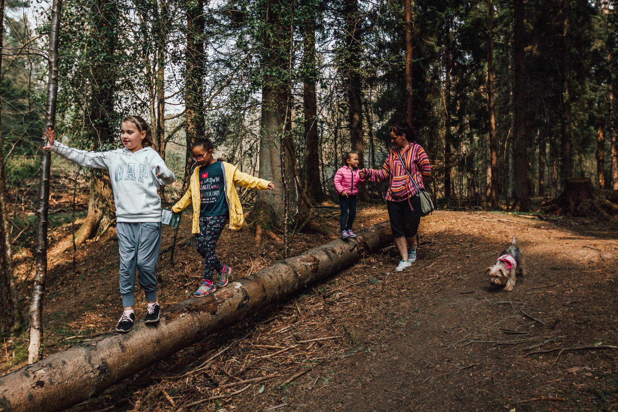 Kids playing on log