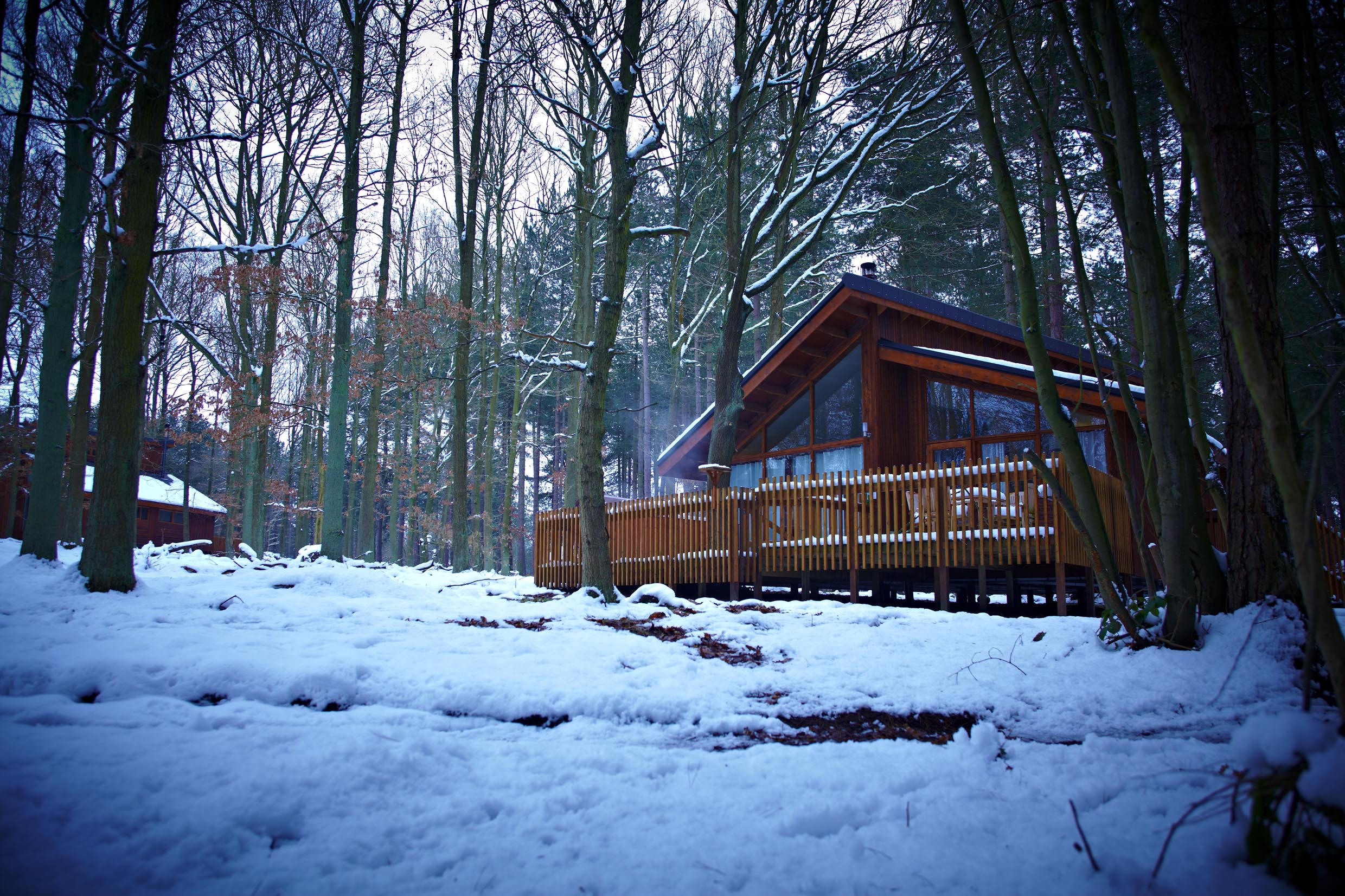 Forest Holidays Forestry Commission England