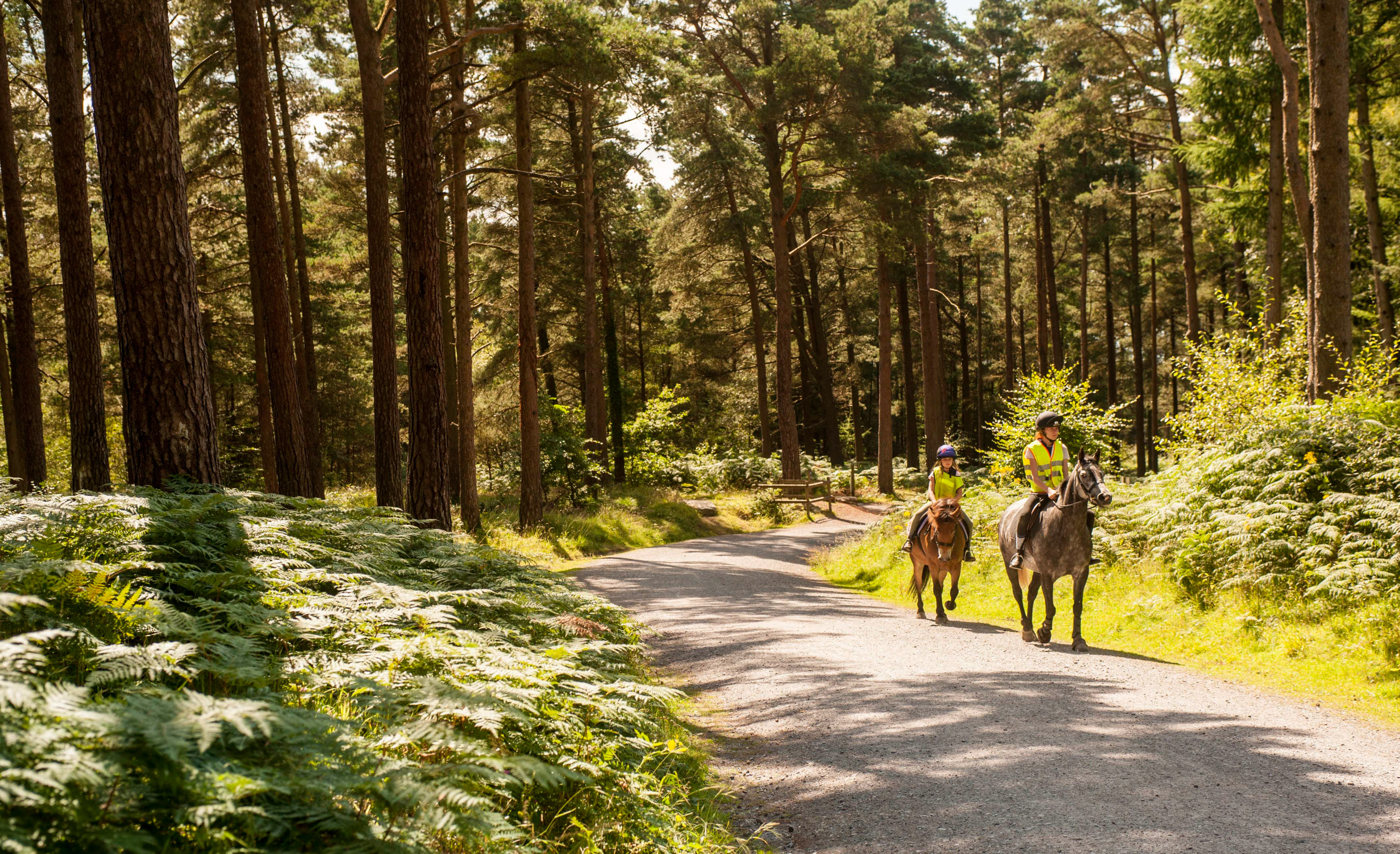 horse riding tour uk