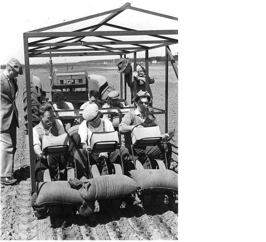 Planting trailer in Thetford Forest 