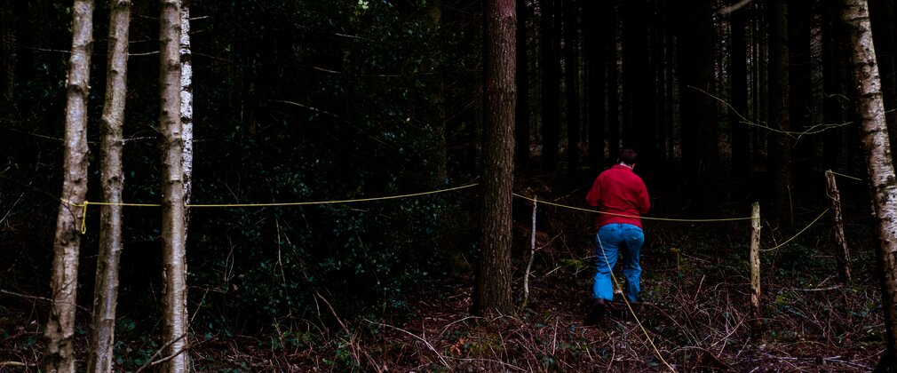 A person in the forest with a yellow thread tied across multiple trees