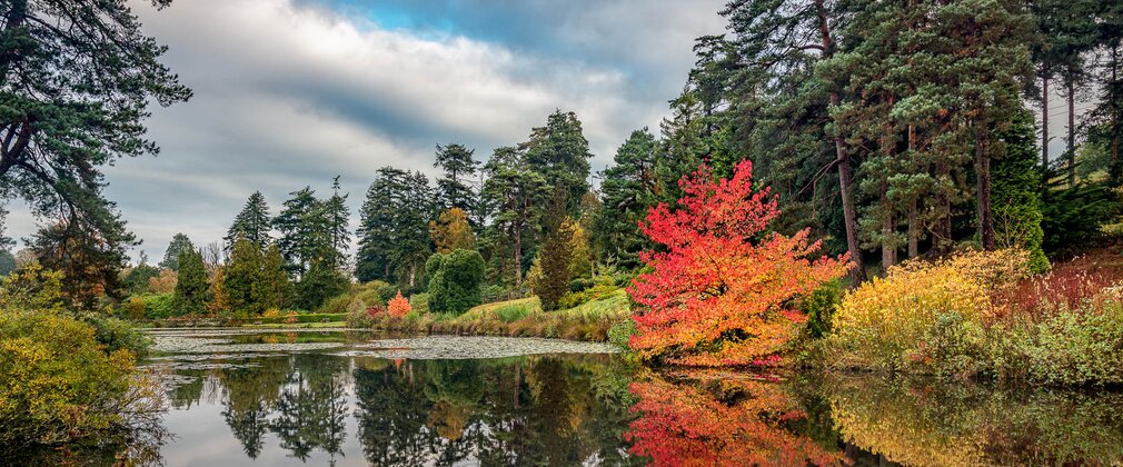 A view across a lake with reflected fiery colours in the water from surrounding trees.