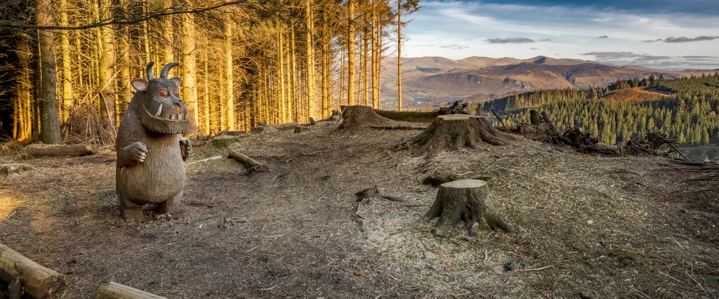 Gruffalo looking over Whinlatter with tree stump in front