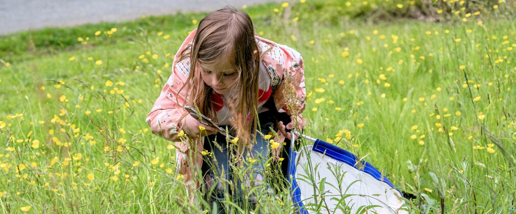 A young girl looking through a magnifying glass in long grass