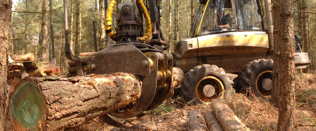 A lager yellow harvester holds a felled log in a metal grip