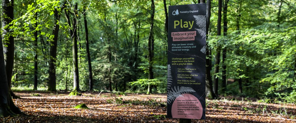A sign saying play, embrace your imagination set within the forest