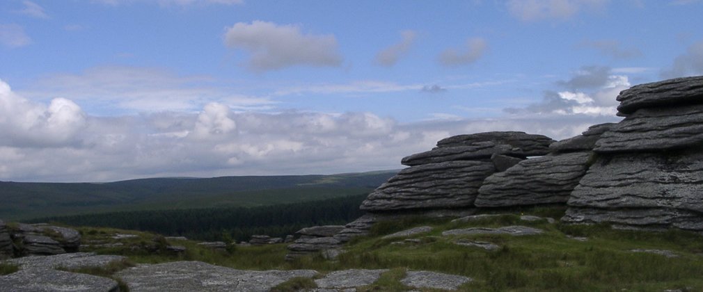 Rough tor