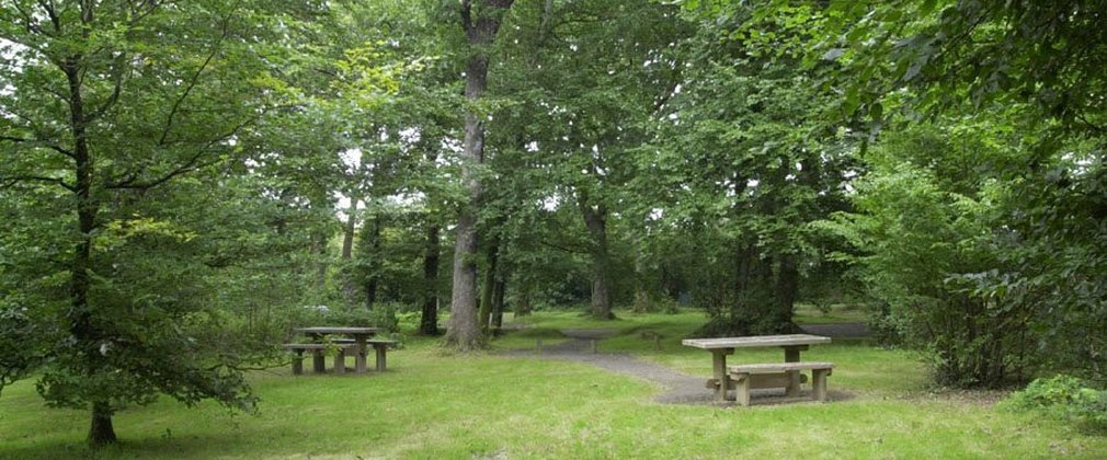 Abbeyford picnic area