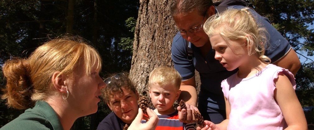 A member of staff, crouching, shows a pine cone to two adults and two children