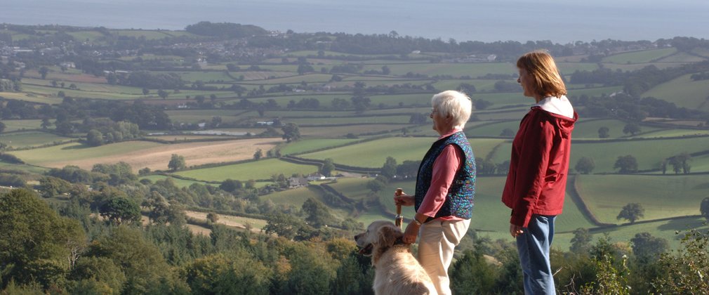 Walkers with their dog enjoying the view from top of hill