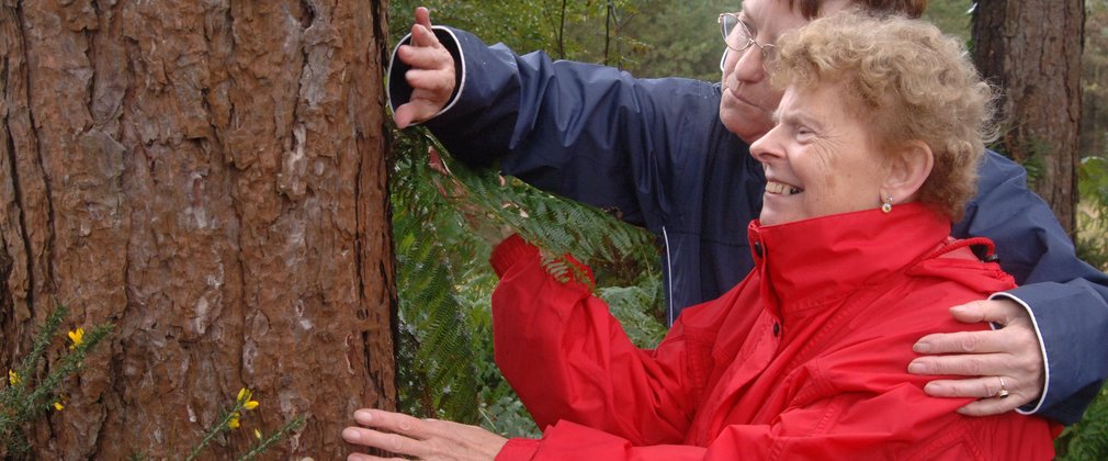 Man and woman observing the texture of a tree
