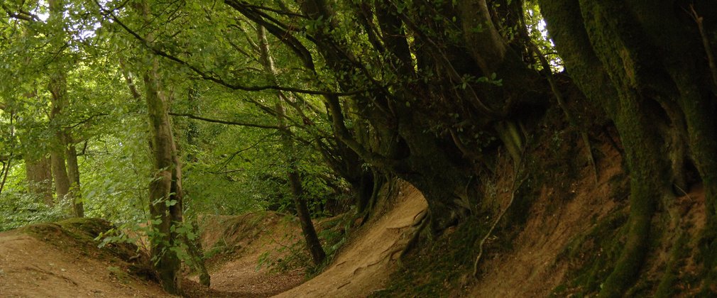 The motte and bailey at Castle Neroche in the Blackdown Hill