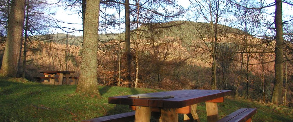 Whinlatter Masmill Beck walking trail