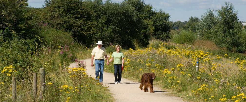 Couple on dog walk along easy access trail