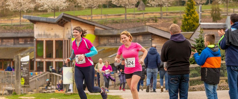 Forestry 100 Running Series at Bedgebury