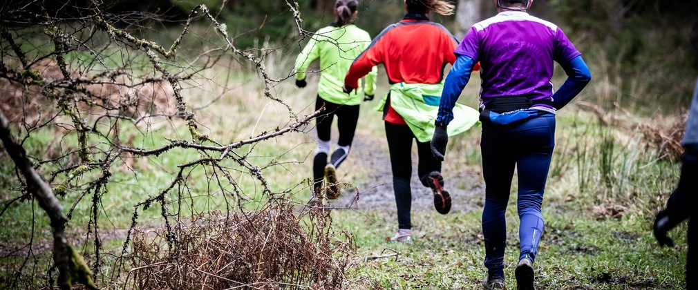 Whats it really like to run in the forest?