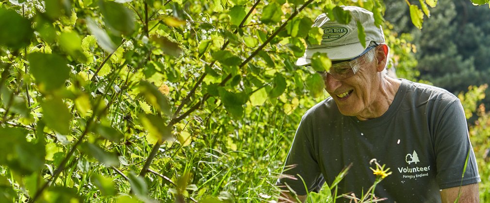 Man volunteering in the forest, clearing woodland