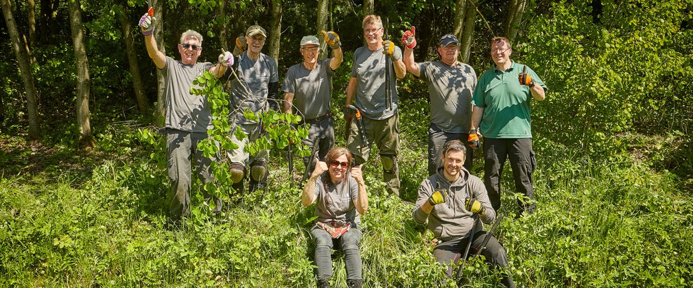 Group volunteering in the forest clearing woodland 