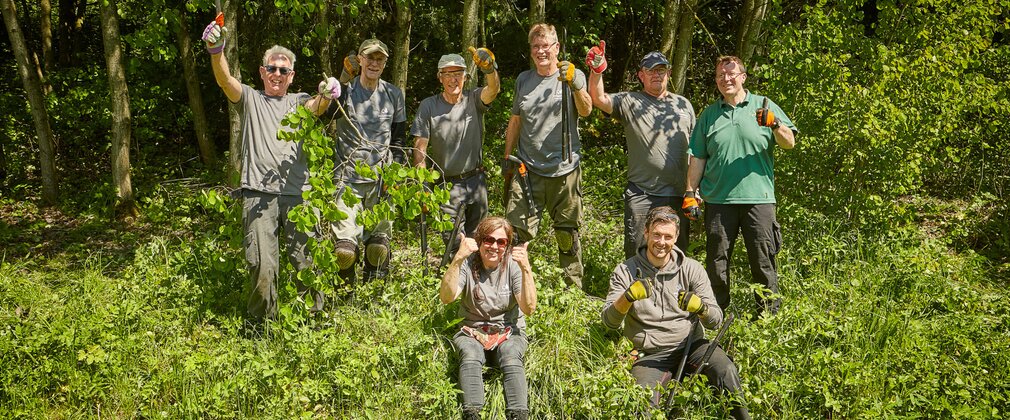 Group volunteering in the forest clearing woodland 