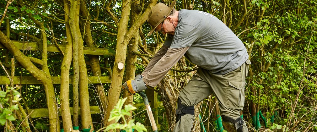 Man volunteering in the forest planting trees