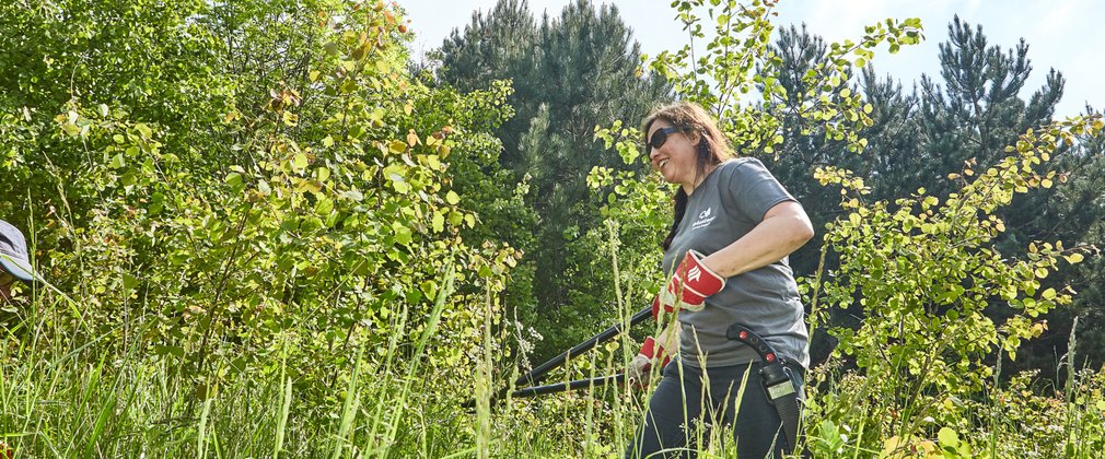 Woman volunteering, clearing forest shrubs