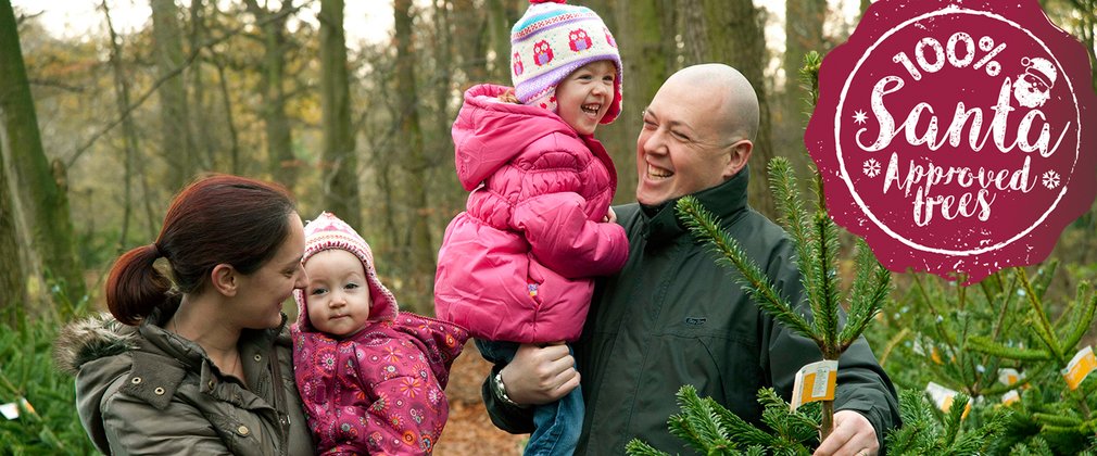 Family picking their Christmas tree