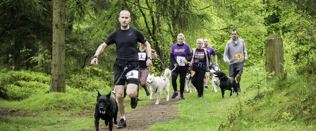 Running event in the forest