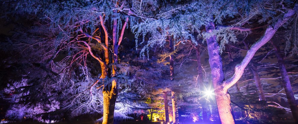Enchanted Christmas Westonbirt