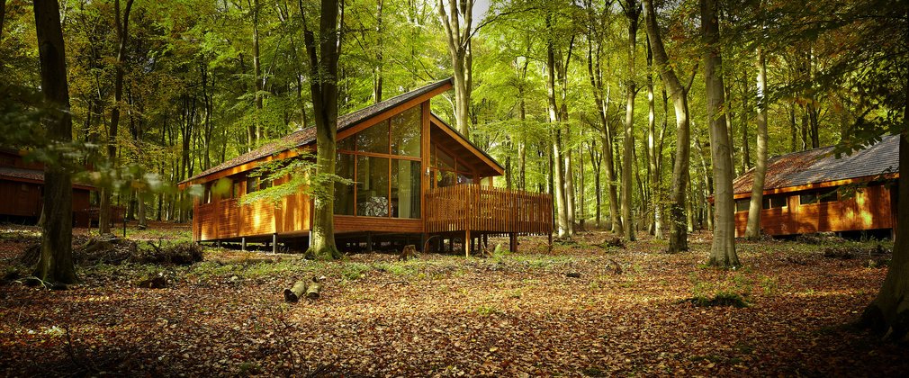 Autumn at Blackwood Forest - Forest Holidays