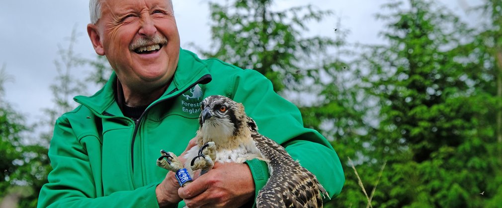Staff holding an osprey chick with an identification ring on its leg