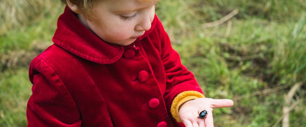 Girl holding beetle