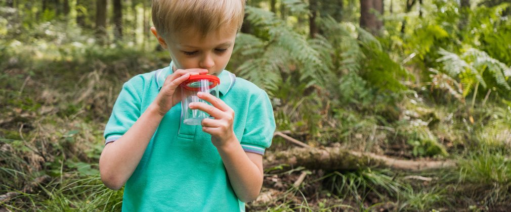 Boy in forest with bug jar