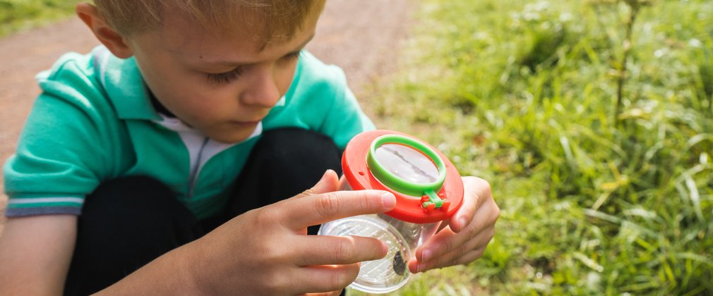 Boy looking into a bug pot