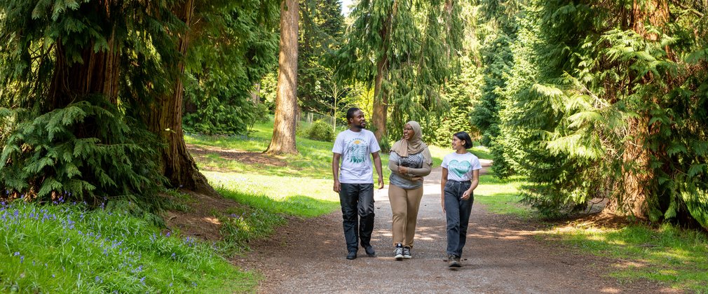 Three adults walk through the forest chatting and smiling