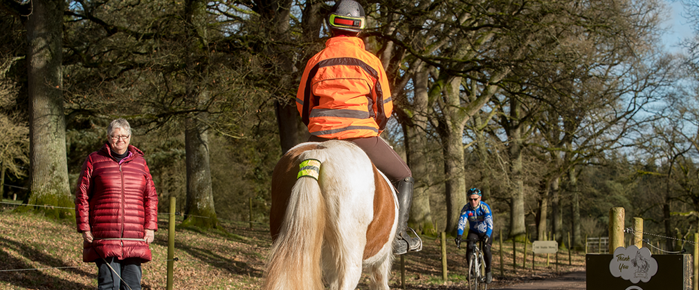 Horse rider in orange high vis slowly trotting past a walker in the forest