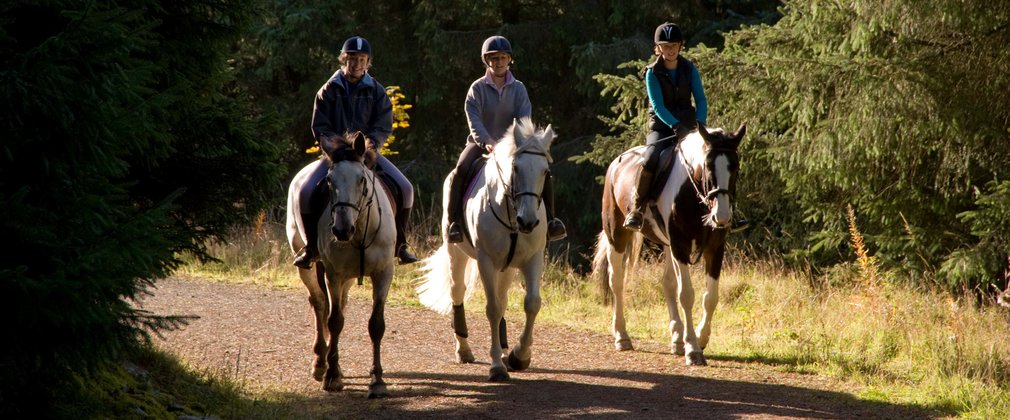 Horse riding at Whinlatter