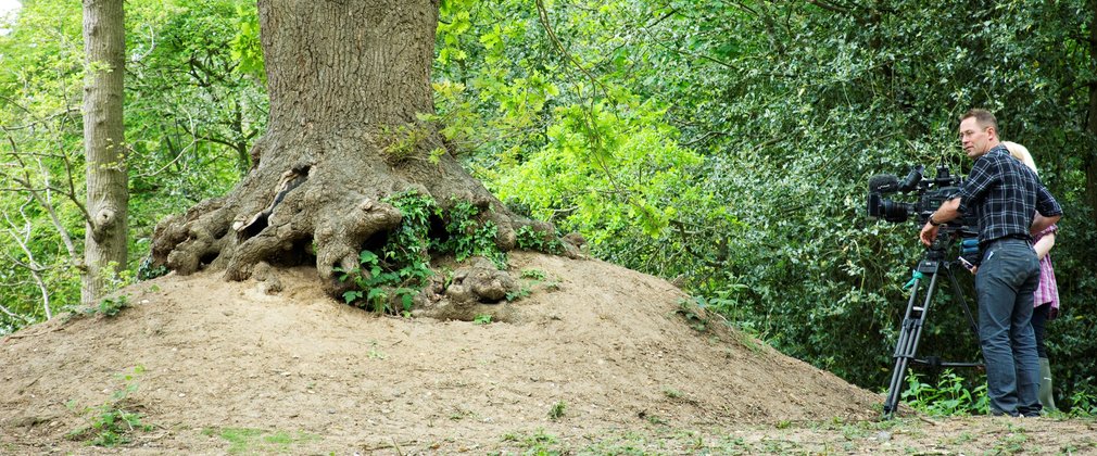 Filming in the forest by large broadleaf tree