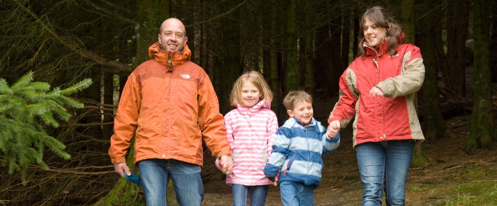 family walking at Whinlatter forest