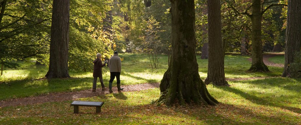 Couple walking through the forest