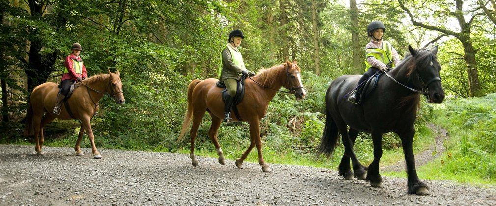 Horse riding on gravel tracks