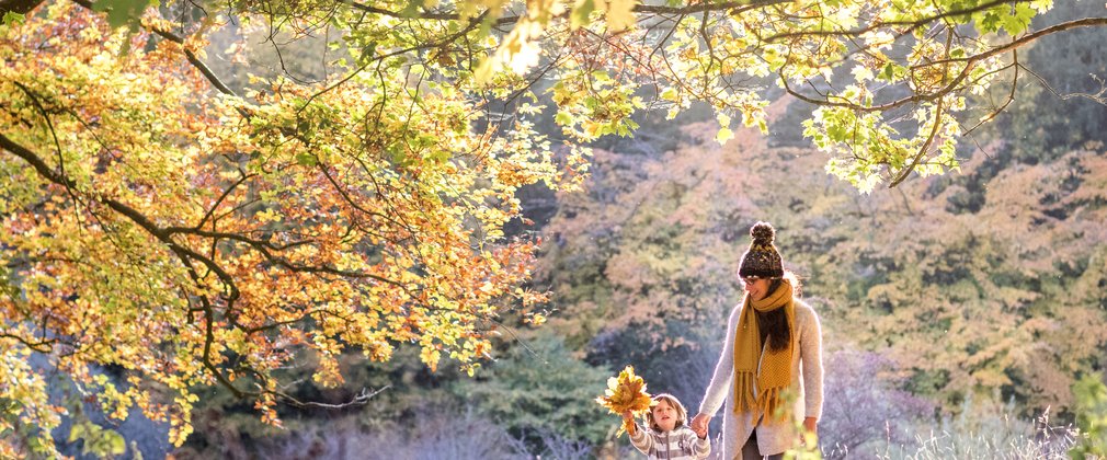 Adult and child walking in forest