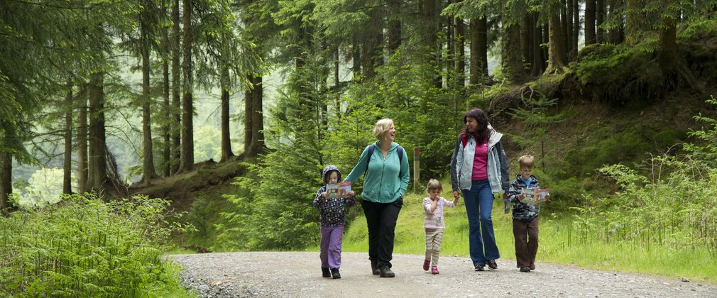 Whinlatter forest family walking
